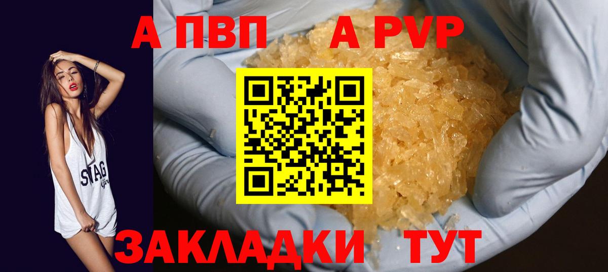 A PVP СК Новошахтинск