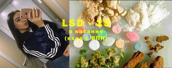 индика Алзамай