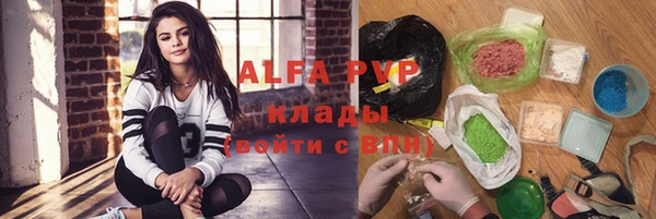 индика Алзамай