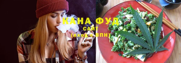 индика Алзамай
