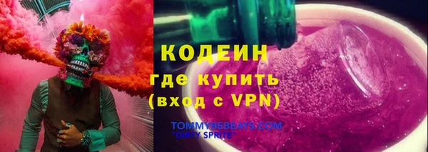 индика Алзамай