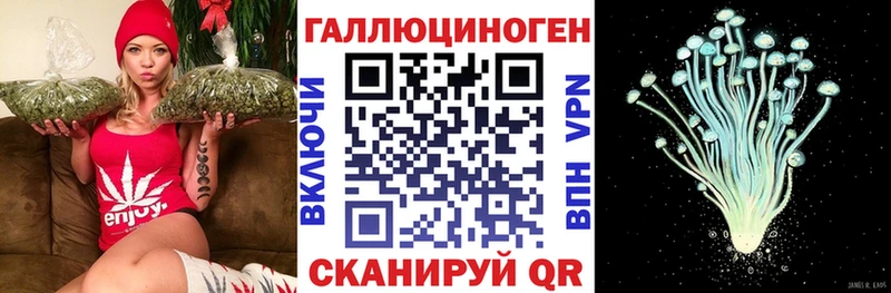 Галлюциногенные грибы MAGIC MUSHROOMS Новошахтинск