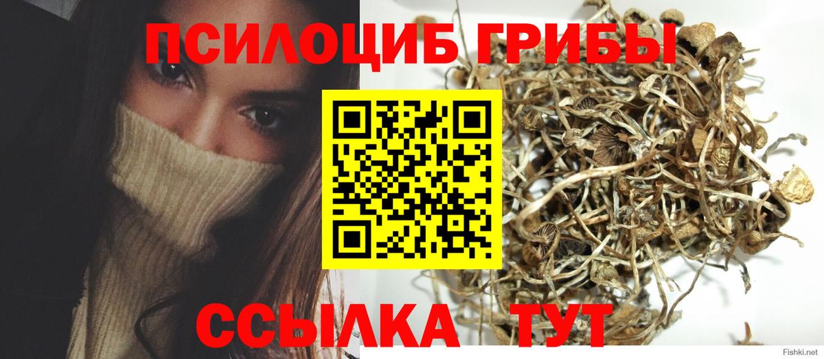 Галлюциногенные грибы ЛСД  Вход с VPN  Новошахтинск  Псилоцибиновые грибы GOLDEN TEACHER 