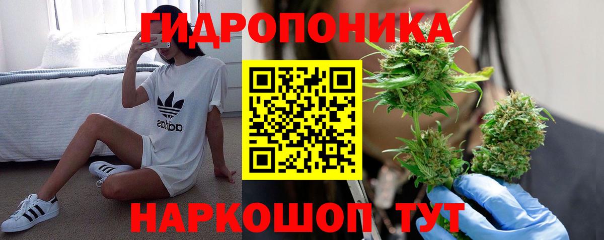 Бошки марихуана марихуана  Бошки марихуана планчик  Конопля Amnesia  Вход с VPN  Конопля семена  Новошахтинск 